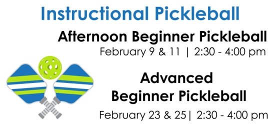 Instructional Pickleball Graphic