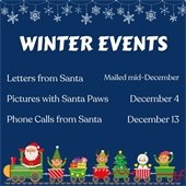 winter events