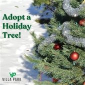 adopt a tree