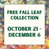 Free Fall Leaf Collection