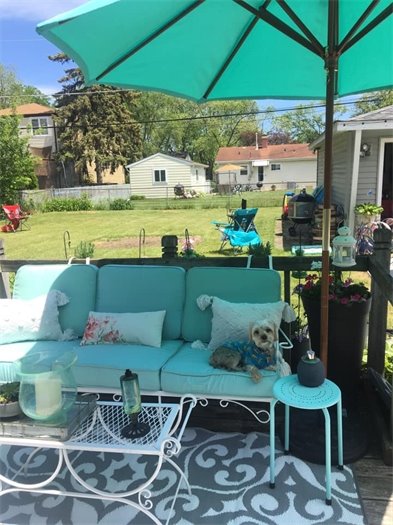 Furry Friend Friday Winner