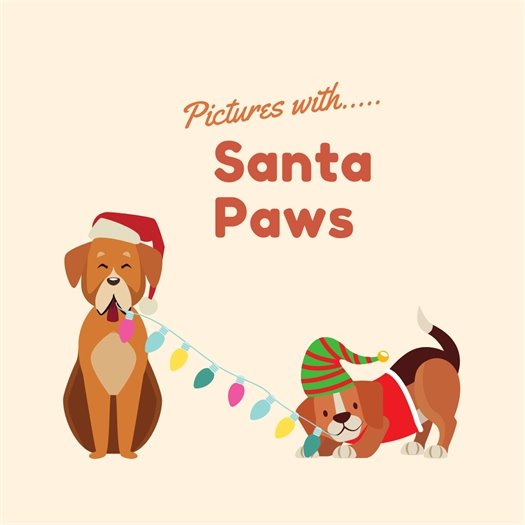 Santa Paws