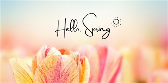 hello spring 